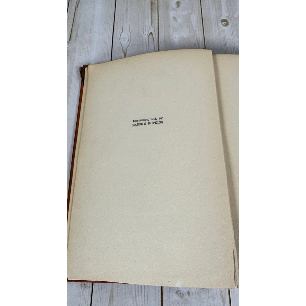 Black Beauty Anna Sewell 1911 HC Illustrated Robert L Dickey Barse Classic